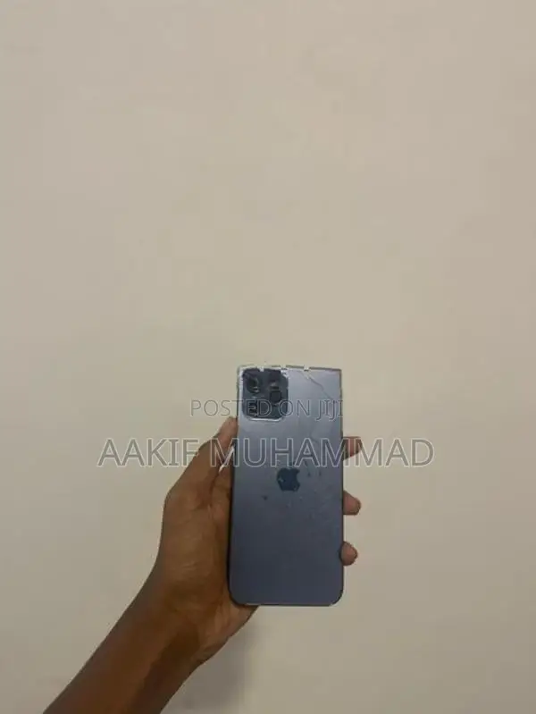 Apple iPhone 12 Pro 256GB (Used)
