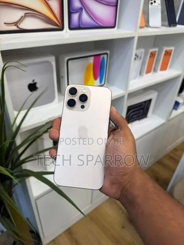 Apple iPhone 16 Pro Max (Used)