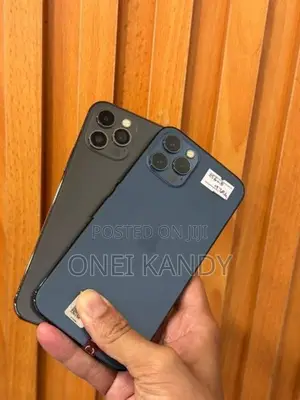 Apple iPhone 12 Pro 256GB (Used)