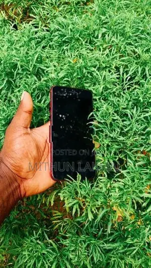 Apple iPhone 7 Plus 256GB (Used)