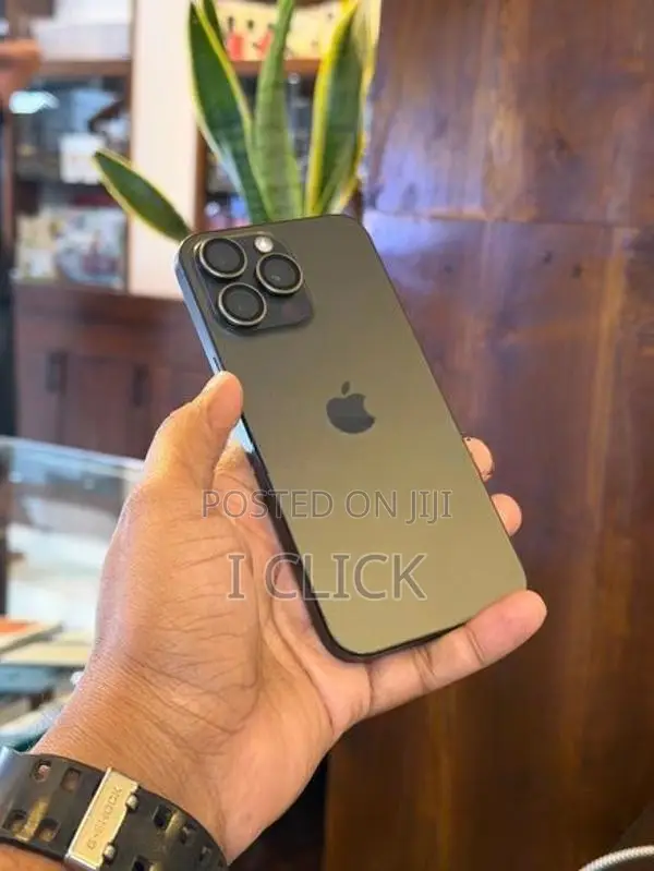 Apple iPhone 15 Pro Max 256GB (Used)
