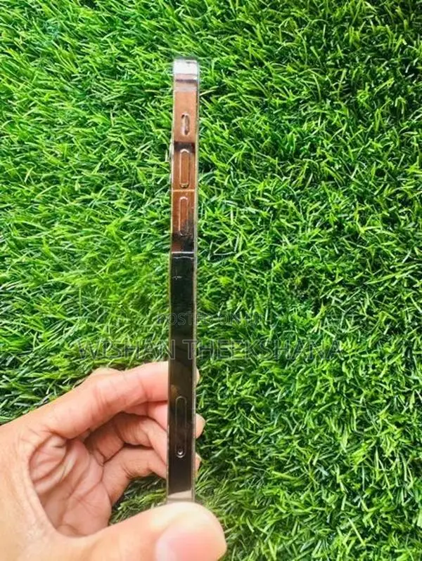 Apple iPhone 12 Pro 256GB (Used)