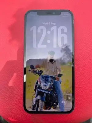 Apple iPhone 12 Pro 256GB (Used)