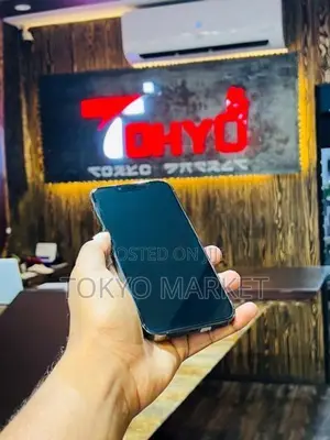 Apple iPhone 13 Pro 256GB (Used)