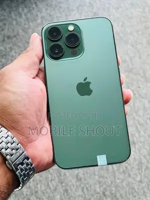 Apple iPhone 13 Pro 256GB (Used)