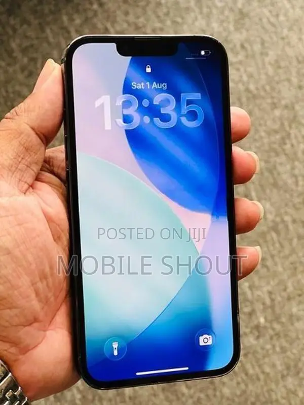 Apple iPhone 13 Pro 256GB (Used)