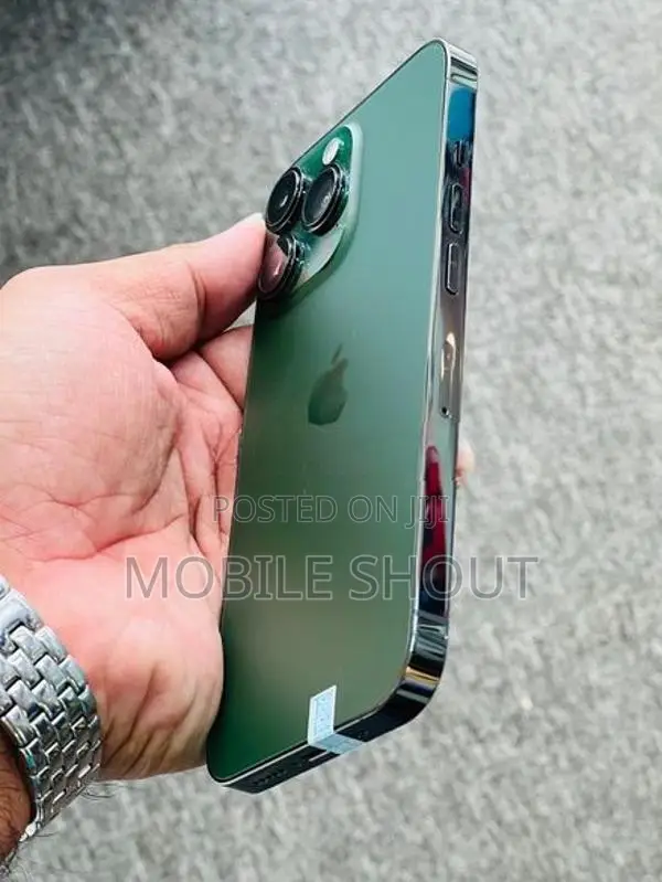 Apple iPhone 13 Pro 256GB (Used)