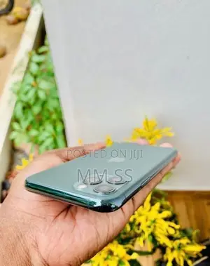 Apple iPhone 11 Pro 256GB (Used)