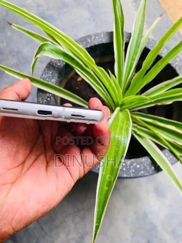 Google Pixel 7a 8/128 (Used)