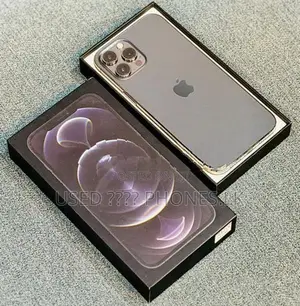 Apple iPhone 12 Pro Max 256GB (Used)