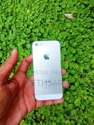 Apple iPhone 5S Parts