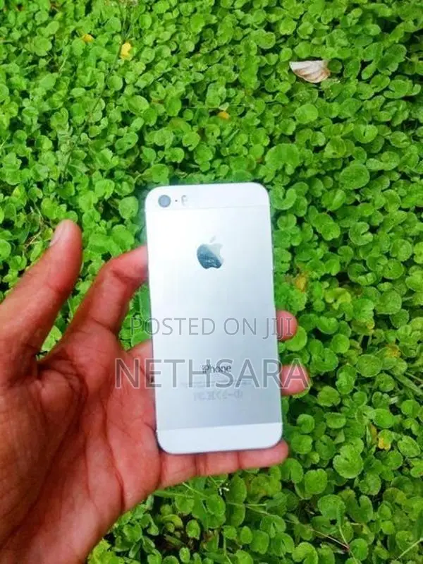 Apple iPhone 5S Parts
