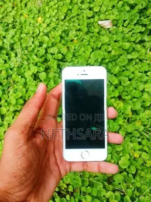 Apple iPhone 5S Parts
