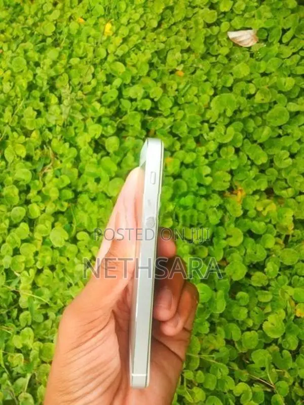 Apple iPhone 5S Parts