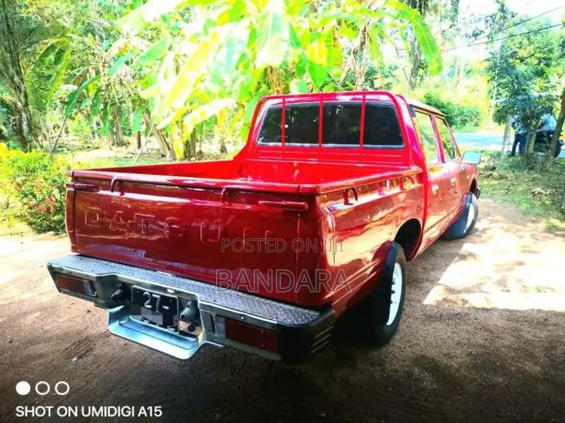 Nissan Original Condition 1981 Pickup (Used)