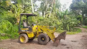 CAT Ws 200 2008 Heavy-Duty (Used)