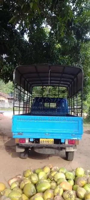 Isuzu TLD2 1980 Lorry (Used)
