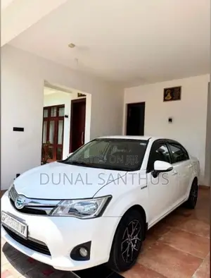 Toyota Axio G Grade 2013 Car (Used)