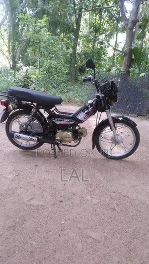 Singer SAFARI 2025 Motorbike Unregistered (Recondition)