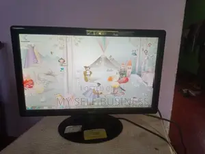 LG 20 inch Monitor