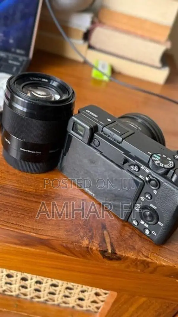 Sony Alpha A6600 Mirrorless Camera
