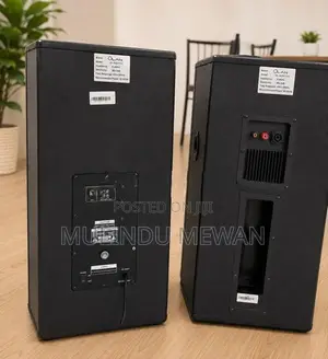 OLAN Professional Active with Passive Speaker Set Mike