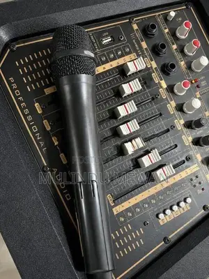 OLAN Professional Active with Passive Speaker Set Mike