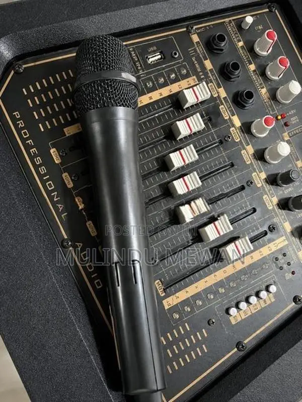 OLAN Professional Active with Passive Speaker Set Mike