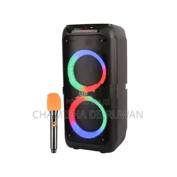 Brodu BTS-2173 Bluetooth karaoke Speaker
