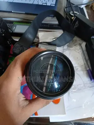 100-300 Lens