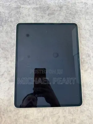 iPad Pro 13 M4 256GB Cellular