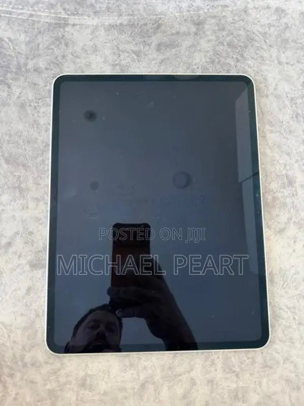 iPad Pro 13 M4 256GB Cellular