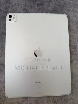 iPad Pro 13 M4 256GB Cellular