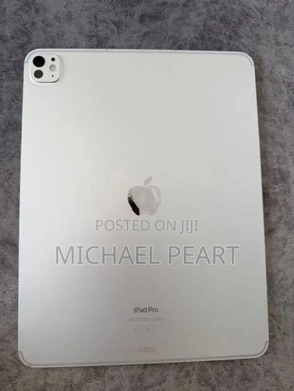iPad Pro 13 M4 256GB Cellular