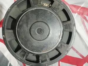 15" inch speakers