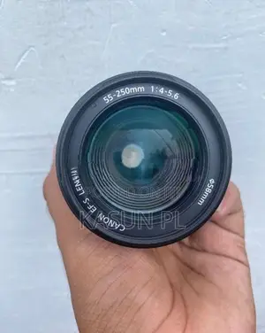 Canon 55-250 Lens