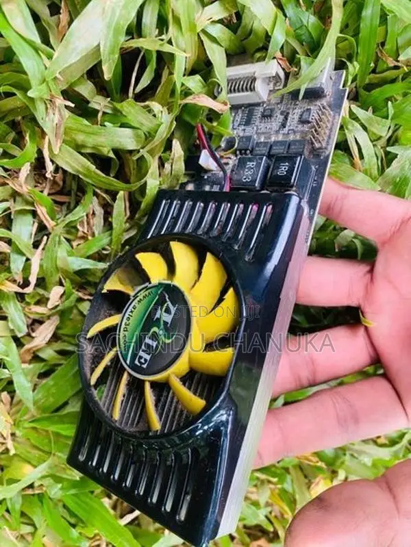 Gigabyte AMD Radeon HD 6450 1GB DDR3 Graphics Card