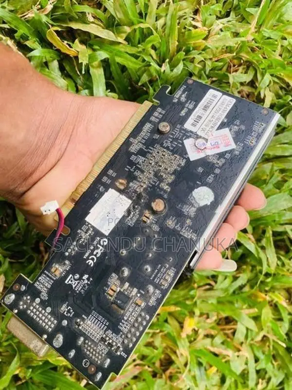 Gigabyte AMD Radeon HD 6450 1GB DDR3 Graphics Card