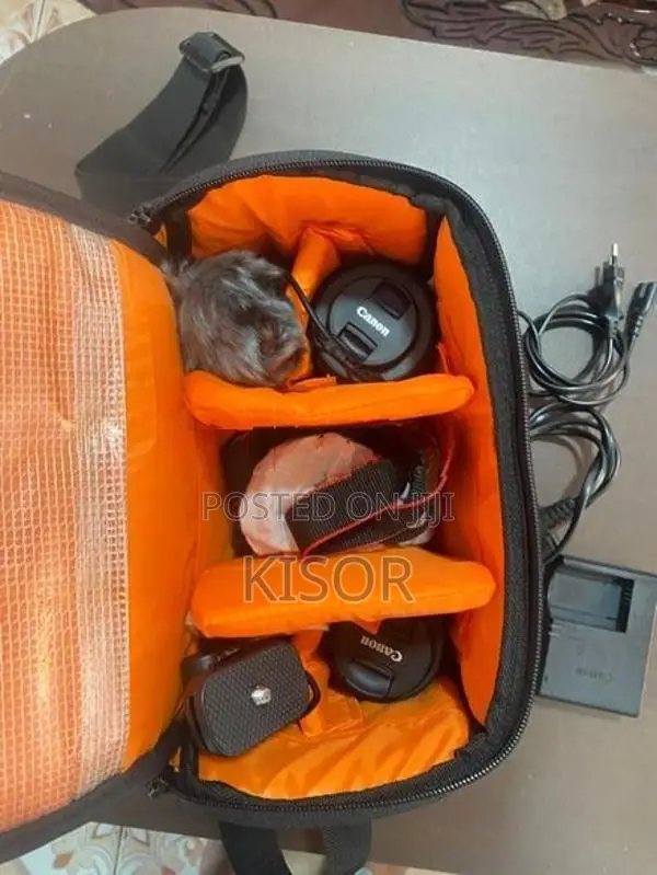 Canon R50
