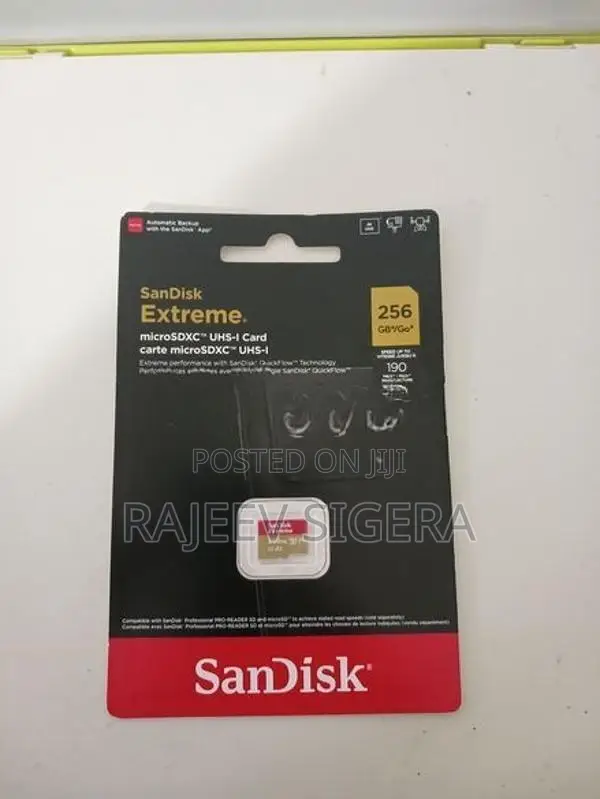 Sandisk Extreme 256