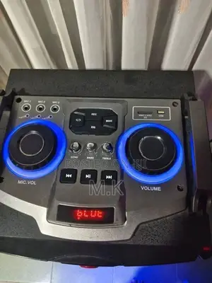 Temeisheng Bluetooth Speaker