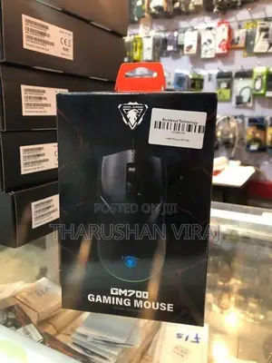 Mouse GM700
