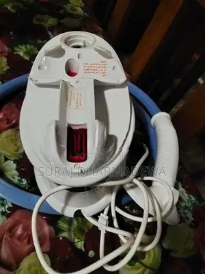 Fabric Steamer Iron