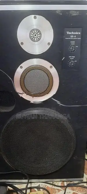 Technic SB-6 10" Speaker