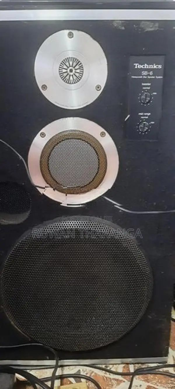 Technic SB-6 10" Speaker