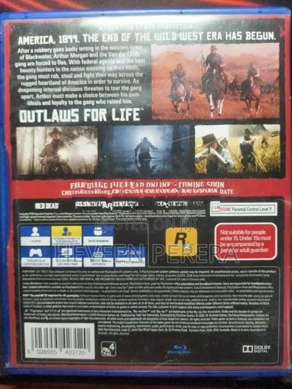 Red Dead Redemption 2 PS4 Game