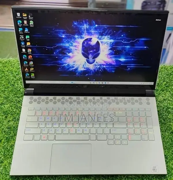 Alienware Laptop M17 R3