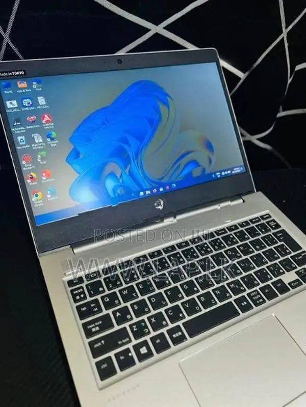 HP ProBook 430 G6 Core i5 8265U–8th Gen 8GB RAM 256GB SSD