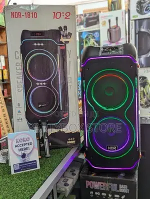 NDR 1810 High Power Outdoor Dual 10' Party Speakers (100W)