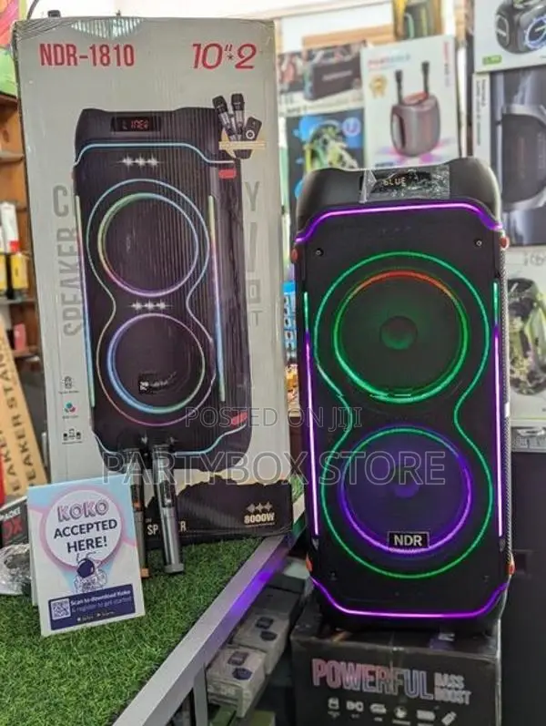 NDR 1810 High Power Outdoor Dual 10' Party Speakers (100W)